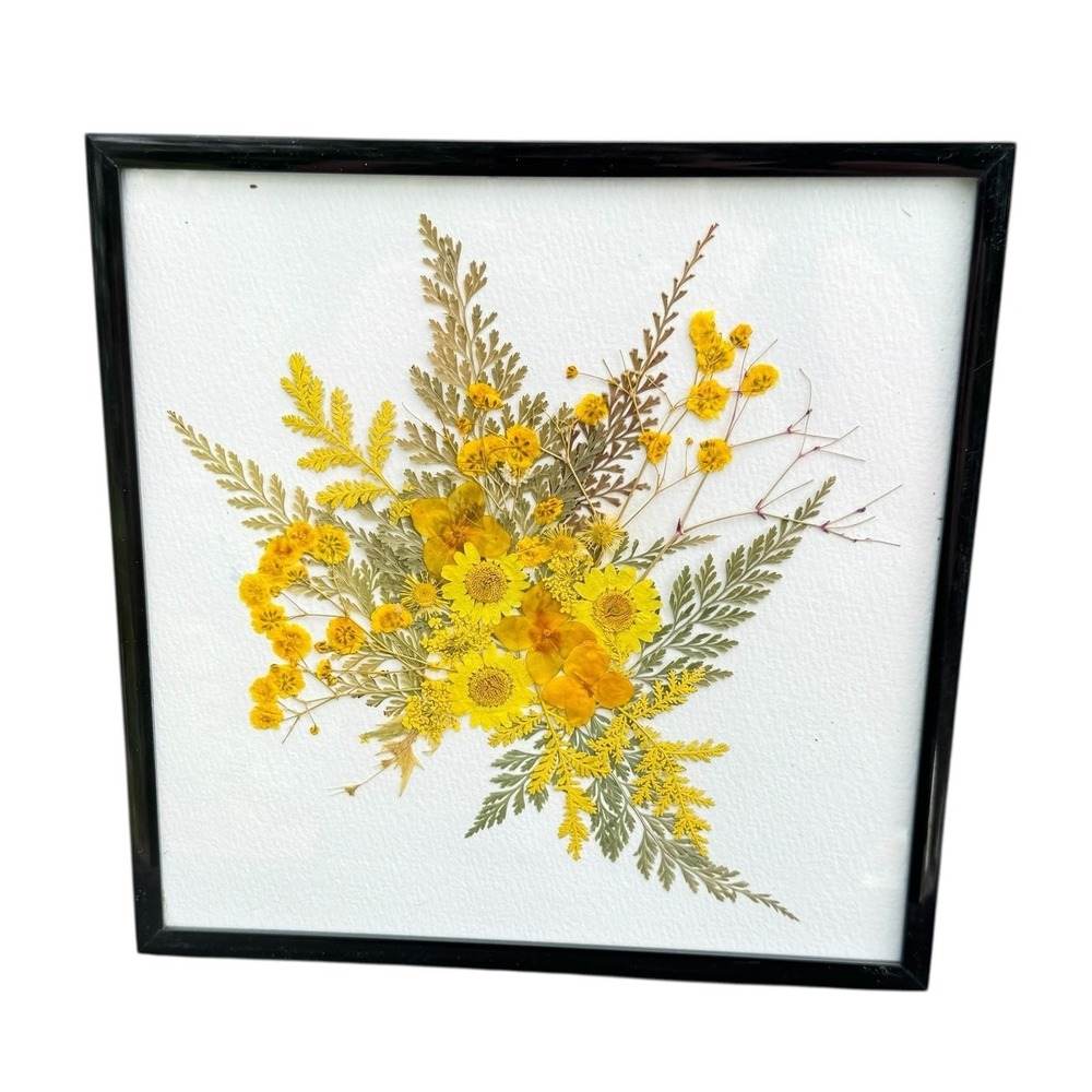 Vintage Pressed Yellow‎ Wildflower Botanical Art Framed 8x8 Square Black Frame